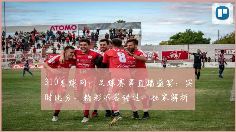 310看球网，足球赛事直播盛宴，实时比分，精彩不容错过，独家解析，尽在其中